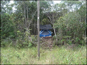 -acampamento-na-selva.jpg