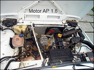Motor AP na Niva.-dsc09598.jpg