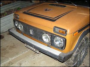 -niva-78.jpg