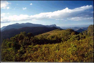 -papagaio-3.jpg