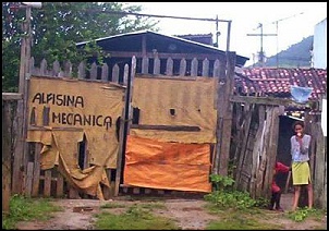 -alfisina.jpg