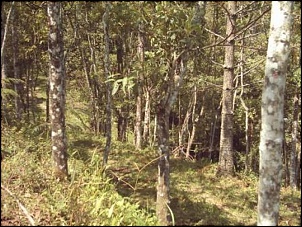 Homenagem-chegando-em-casa-agora-virou-lama-.jpg