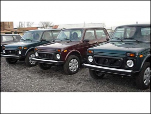 -niva-2009.jpg