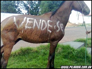 Mais um Niveiro..-437470925_985df37061_o.jpg