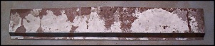 -100_4449.jpg