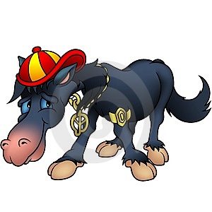 -cavalo-preto-e-batida-thumb2398392.jpg