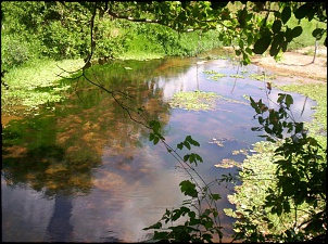 -100_5097.jpg