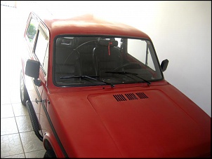 Polimento e espelhamento.-niva2.jpg