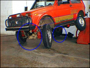 -niva1_159.jpg