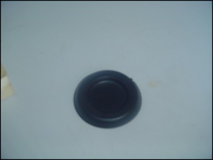 Friso Lateral-dsc00038.jpg