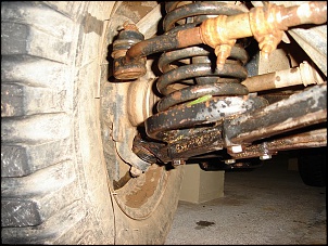 Pivos D20-niva-009.jpg