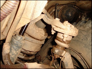 Pivos D20-niva-012.jpg