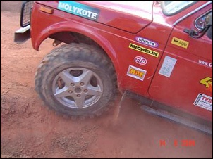 Moscas Brancas!!!-foto-relato-16.jpg