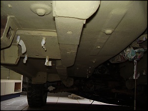 Niva Sem Nome-0.jpg