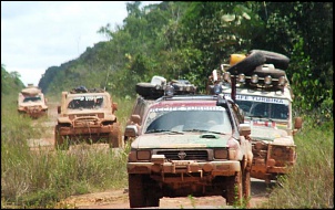 -br-319-2008.jpg