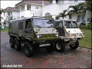 PINZGAUER 6X6  (modelo 712)-haflinger-3.jpg