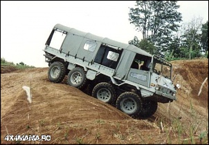 PINZGAUER 6X6  (modelo 712)-haflinger-4.jpg