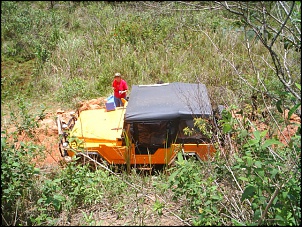 Viabilidade do Javali-s3010803_175.jpg