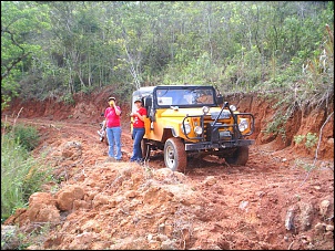 Viabilidade do Javali-s3010794_381.jpg