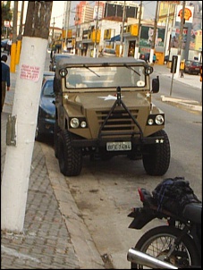 Viabilidade do Javali-imagem_208_330.jpg