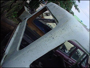 Viabilidade do Javali-mvc-007f.jpg