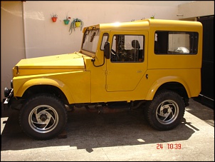 Quanto vale um JAVALI???-meu-javali-003.jpg