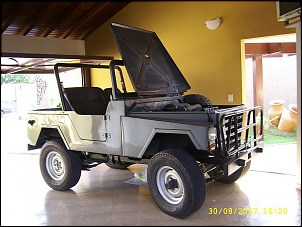 Viabilidade do Javali-ssa51486.jpg