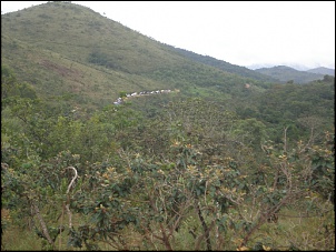 -p4050004.jpg