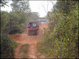 -mb-155_resize.jpg