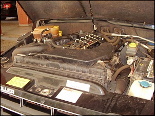 -pa160056.jpg
