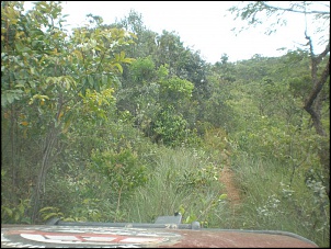 -pc140104.jpg