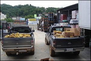 Passeio e Ajuda - SC-carregando_banana4.jpg