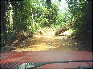 Passeio para Castelhanos/ Ilha Bela-s3010212.jpg