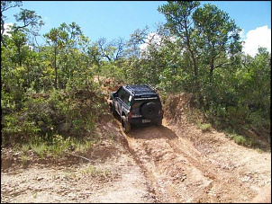 -bicudo090110018.jpg