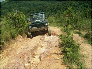 -bicudo090110023.jpg