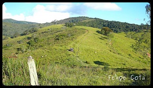 -_p1080094.jpg