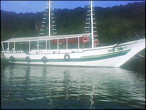 -toatoa.jpg