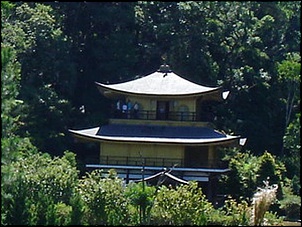 II - Passeio das Patroas-passeio_patroa8_246.jpg