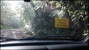 -animais-silvestres.jpg
