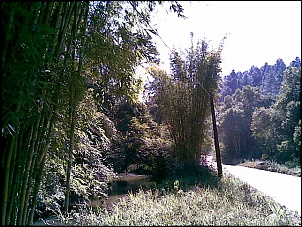Passeio de Itapecerica da Serra-imagem011.jpg