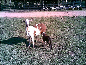Passeio de Itapecerica da Serra-imagem015.jpg