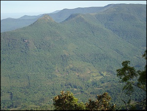 Passeios E Trilhas Leves No Sul-serra-umbu-052.jpg