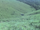 -08-12-06_1645.jpg