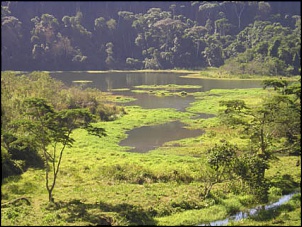 Trilhas e Passeios perto do Rio/RJ (represas ou praia)-desvio.jpg