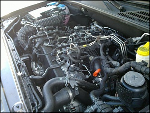 -20100703_006.jpg
