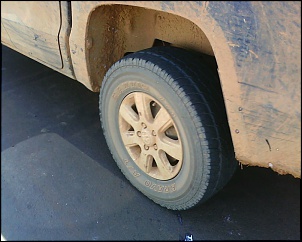 -img0061a.jpg