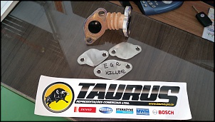 Sistema de EGR amarok bi-turbo-2016-01-06-09.11.52.jpg