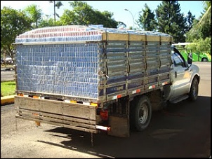 Toro-f350cheia.jpg