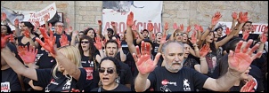 Toro-nao-touradas.jpg