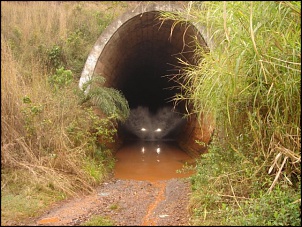 -trilha-017.jpg